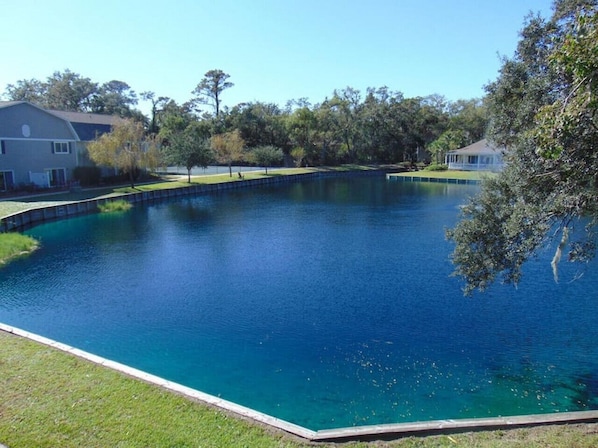 A large, clear swimming pool surrounded by a grassy area and trees, with houses in the background.