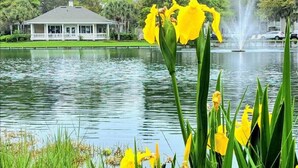 A house with a porch and a fountain in the background. - H6 Complete renovation, 2nd floor 2 BD/2 bath, close to pool, village and beach (St.  Simons Island)