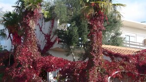 Ein Gebäude mit weißer Fassade, teilweise bedeckt von roten blühenden Weinreben.