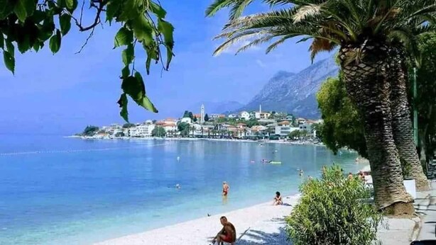 Eine Strandansicht mit klarem, blauem Wasser, einer Palme und einer Stadt im Hintergrund.