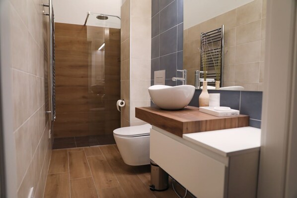 Shower, hair dryer, towels, toilet paper