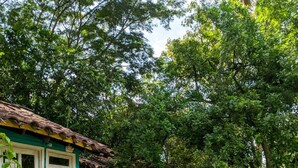 Cabaña Confort | Wifi gratis