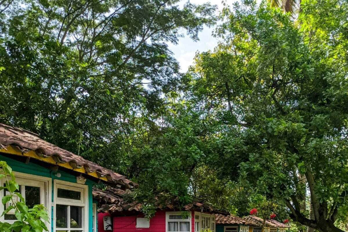 Cabane Confort | Wi-Fi gratuit