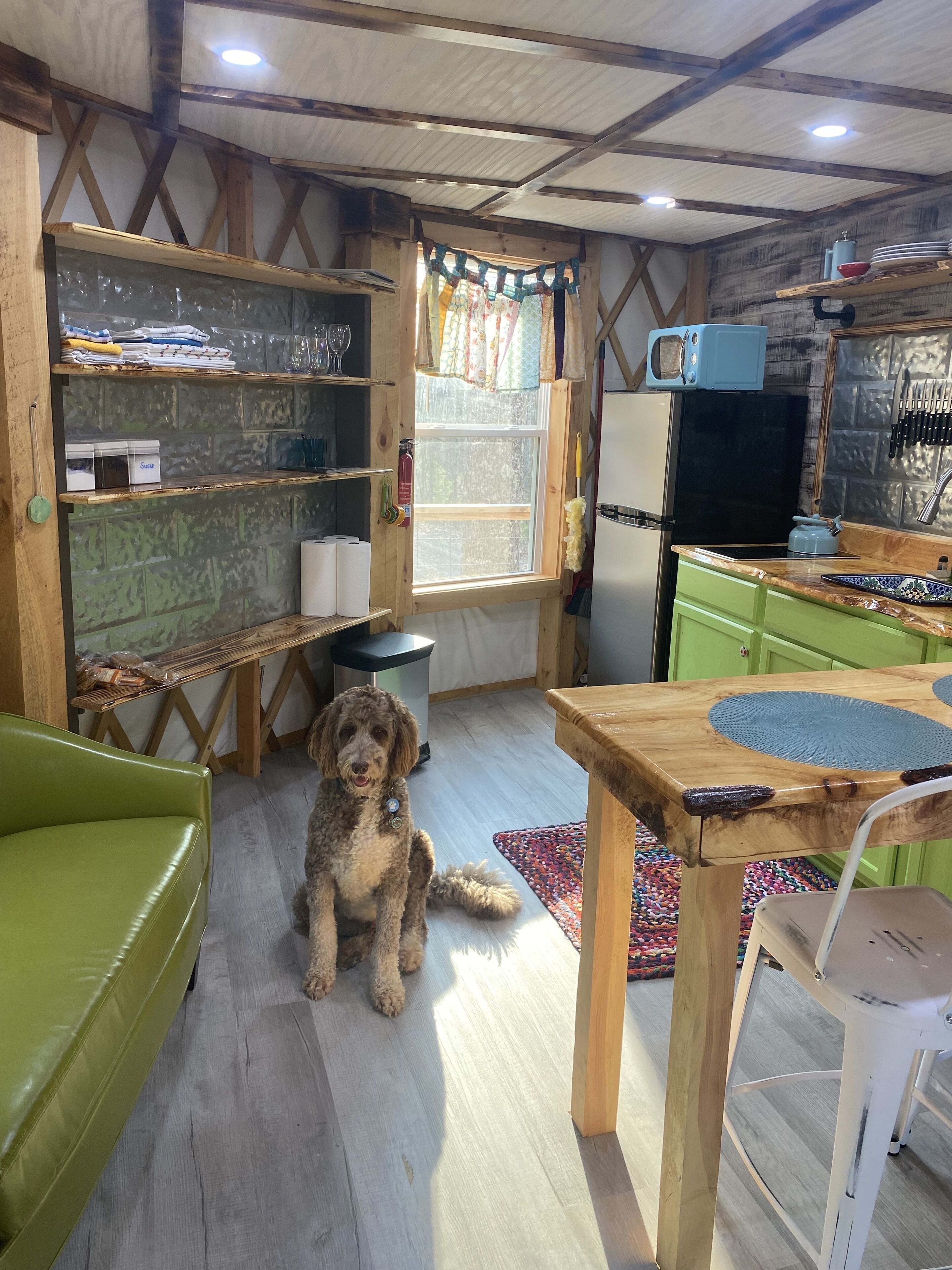 A rustic kitchen with wooden shelves, a green sofa, and a dog sitting on the floor.