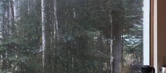 Aurora SkyFire Manor