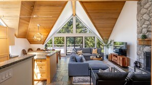 TV, fireplace