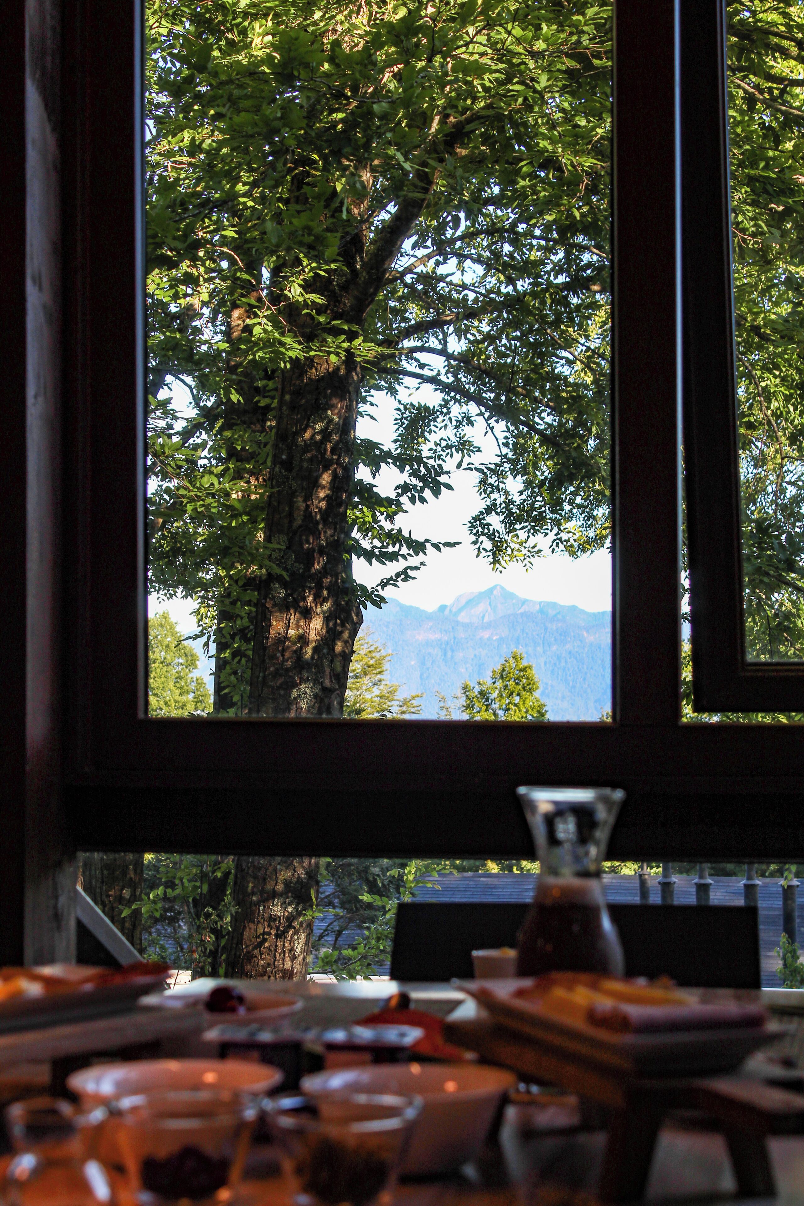 A table with a view of a large tree and mountains through a window.