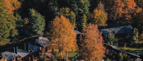 A mountainous landscape with a snow-capped peak, surrounded by autumn-colored trees and a residential area with houses and a wooden bridge.