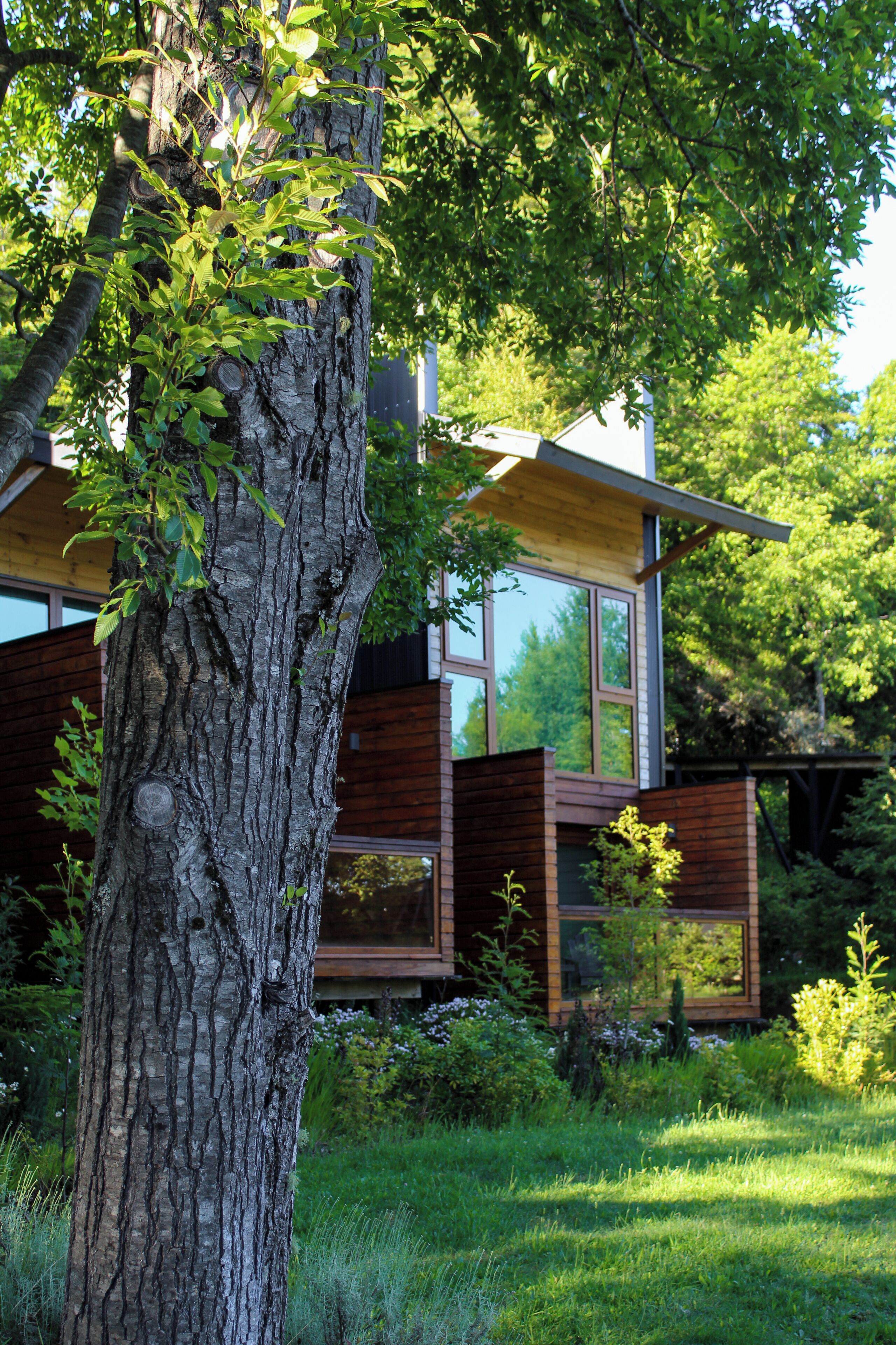 A modern house with large windows, a wooden deck, and a lush garden.