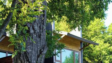 A modern house with large windows, a wooden deck, and a lush garden.