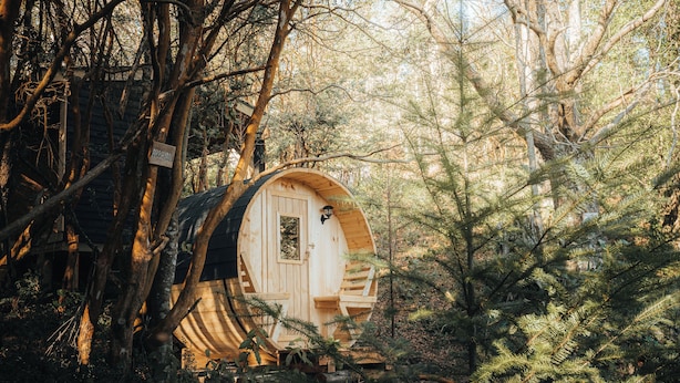A wooden cabin nestled among trees, with a door and windows visible. - Ni-Newen (Pucón)
