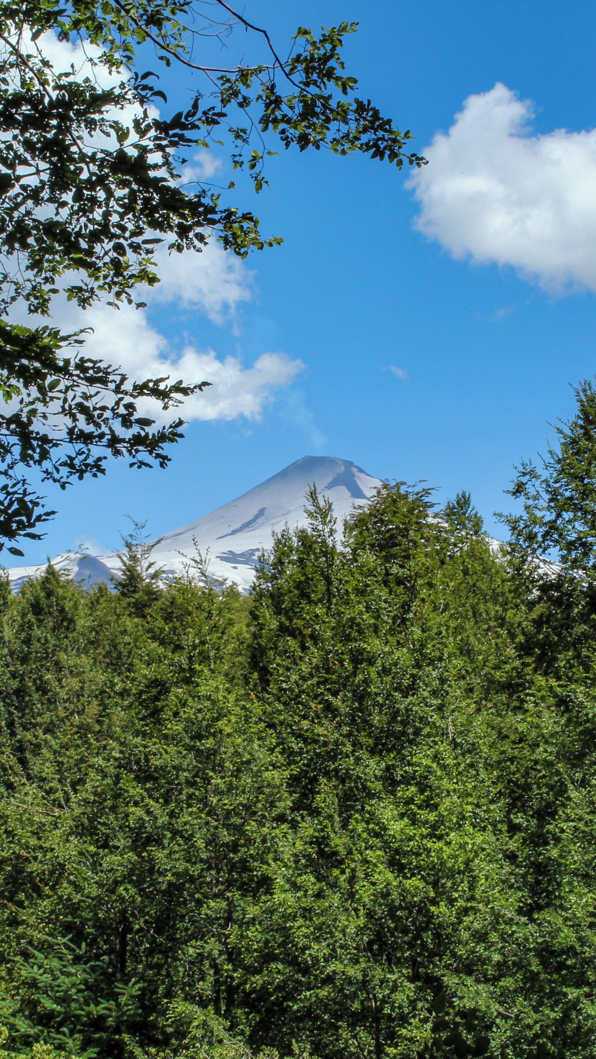 A mountain with a snow-capped peak, surrounded by dense green forest.