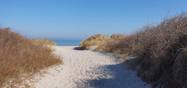 A sandy beach path leading to the sea, surrounded by dry grass and bushes.