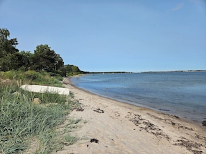 Uma praia com areia, água e vegetação.