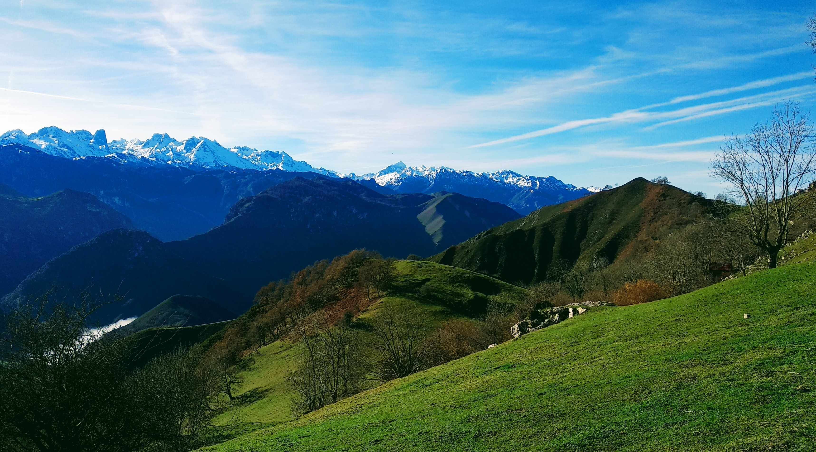 Un paysage montagneux, avec des collines verdoyantes et, au loin, des sommets enneigés.