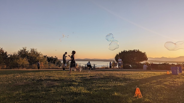 Ein Park mit einem Picknickbereich und einem See im Hintergrund.