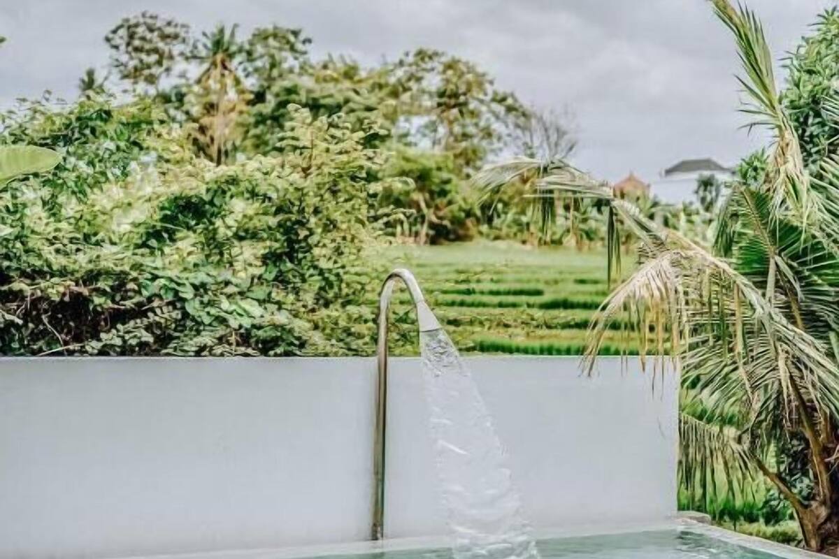 Une piscine offrant une vue dégagée sur une végétation luxuriante et un ciel nuageux en arrière-plan.