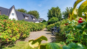 A vineyard path leading to a house with a sloped roof and white walls. - Roseneck App. 6 - Cozy vacation apartment for up to 2 persons with (Sylt-Ost)