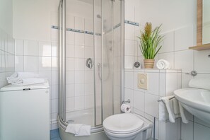 Shower, hair dryer, towels