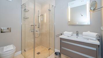 Shower, hair dryer, towels