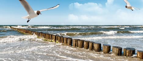 Beach nearby