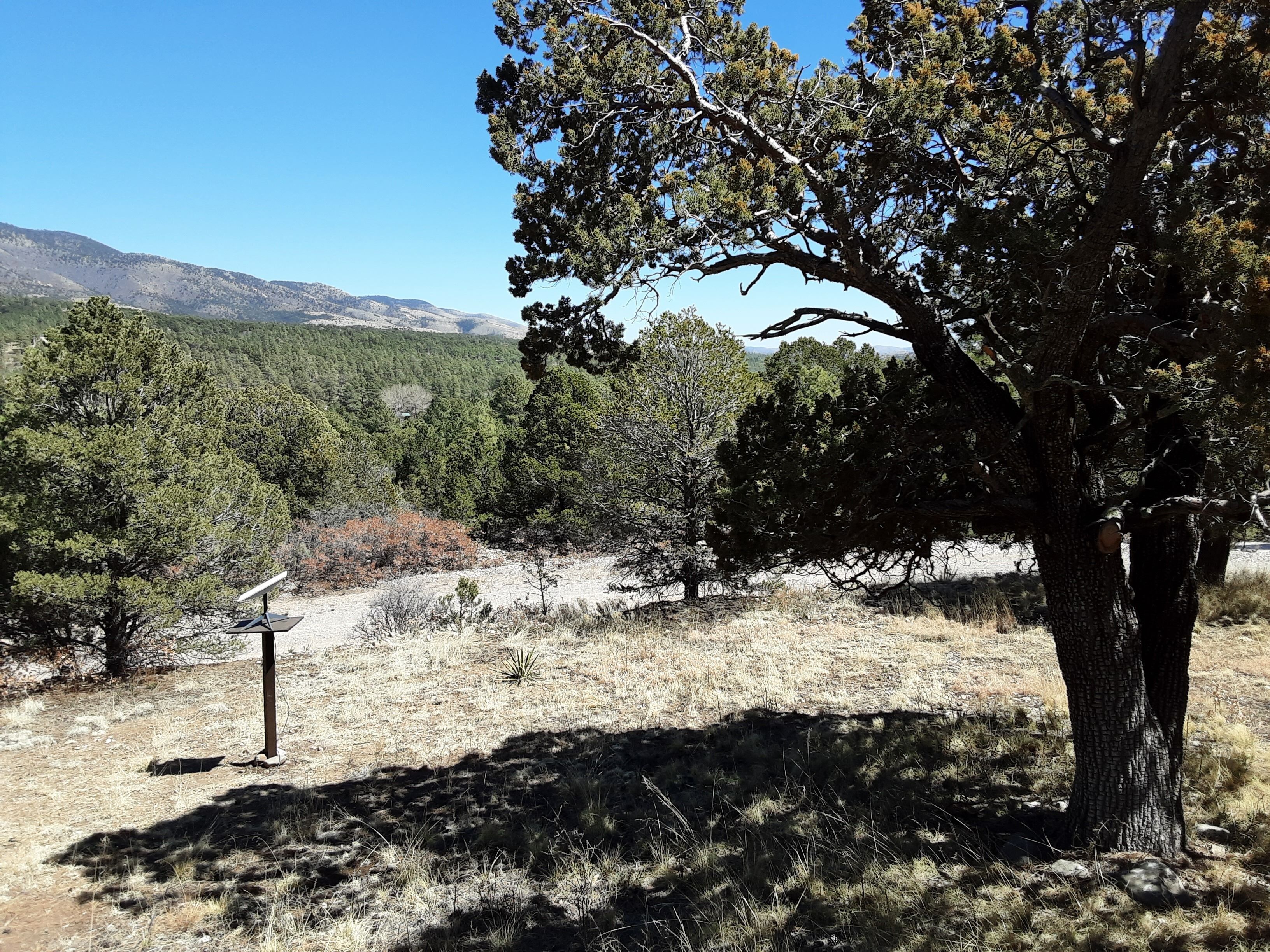 This is definitely a WELCOME INN.<br>Located in Timberon NM 