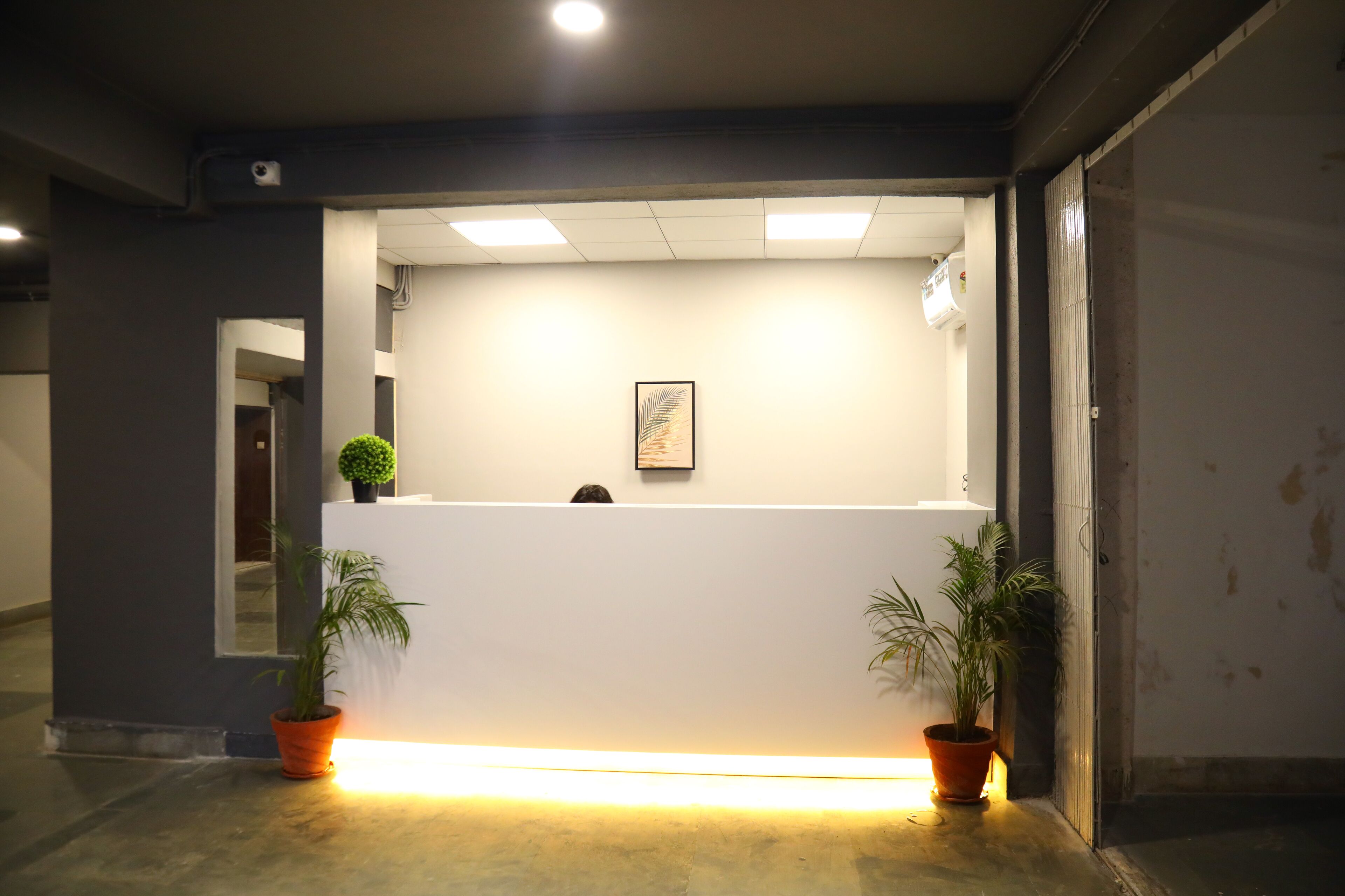 A reception area with a white counter, two potted plants, a framed picture, and a ceiling-mounted security camera.