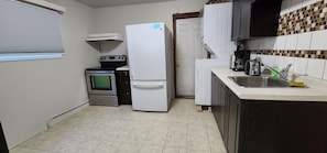 Private kitchen - Chesskings Car Rental Guest House (Winnipeg)