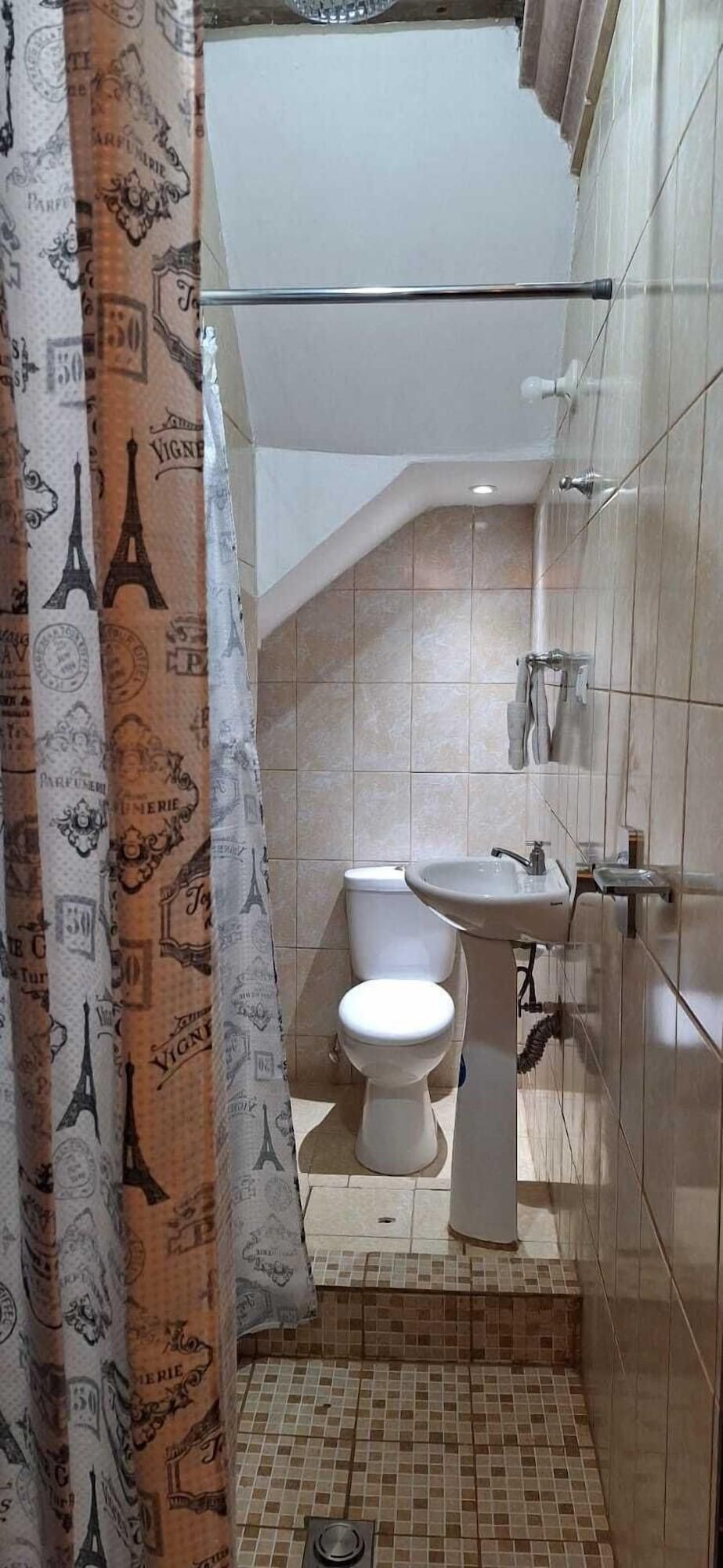 A small bathroom with a toilet, sink, and shower curtain with Parisian designs.