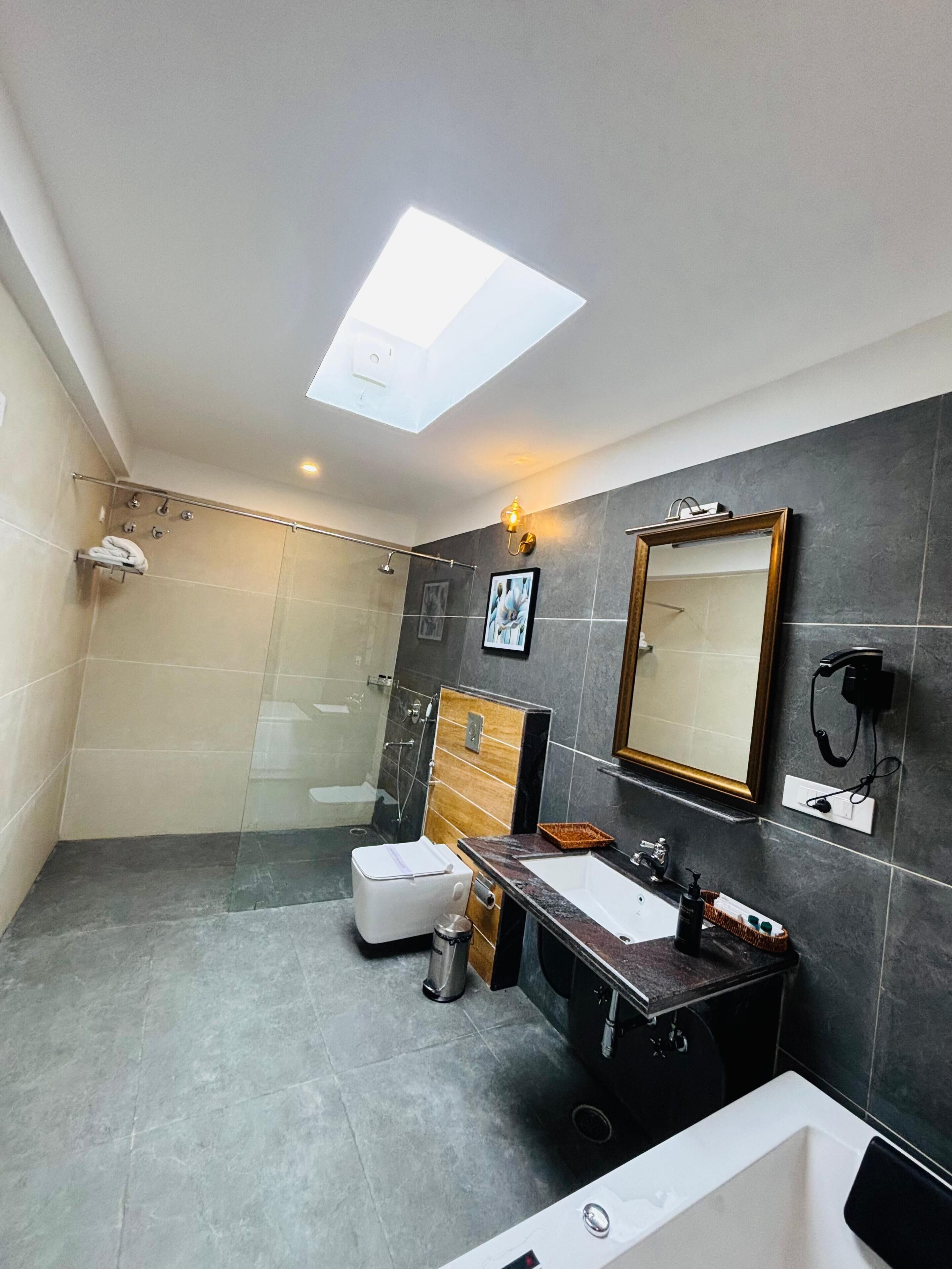 A modern bathroom with a skylight, a shower, a toilet, a sink, and a vanity.