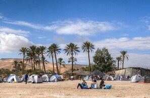 Empty lot (Bring your own tent) | 1 bedroom