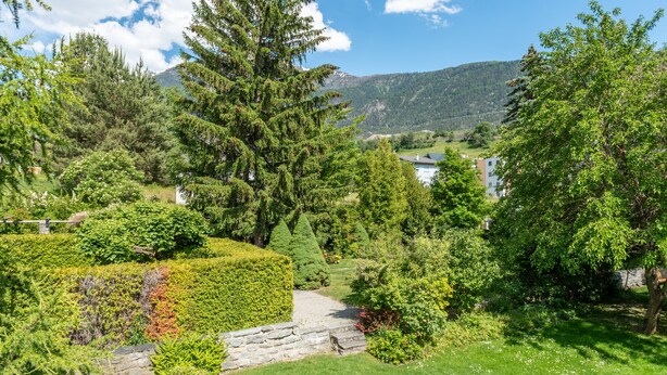 Un exuberante jardín con un sendero de piedra que conduce a una casa.