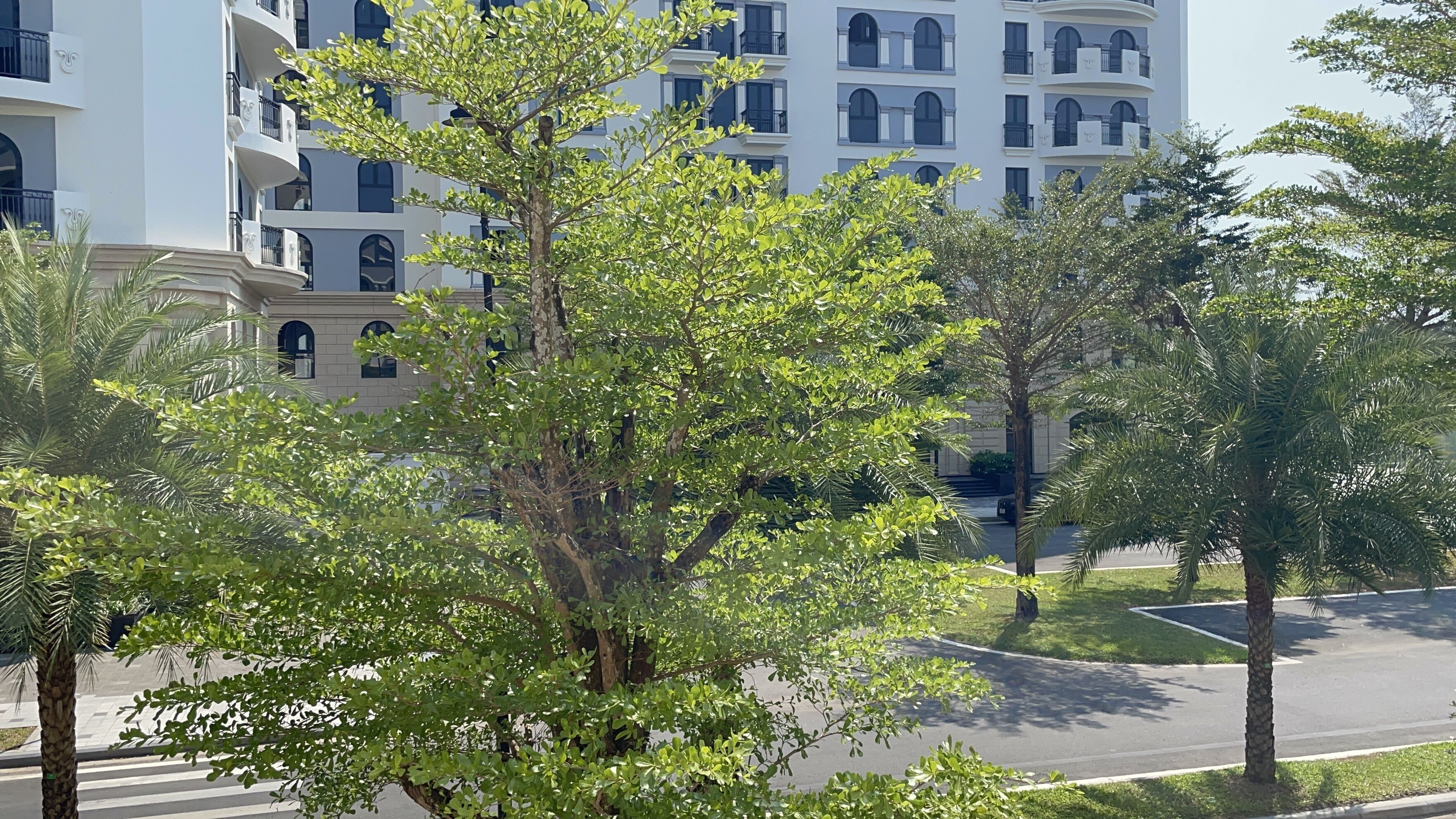 Un immeuble à plusieurs étages doté de balcons et d’un espace de stationnement.