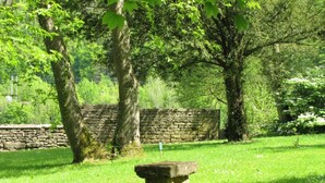 Un banco de piedra en un parque, con un muro de piedra y árboles al fondo.