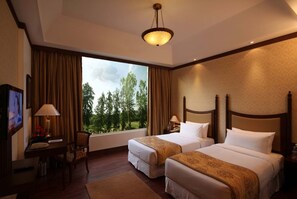 Superior Room | View from room