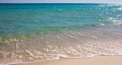 Welcome to Dolphin Fun B, Brand NEW Duplex Walk to the Beach