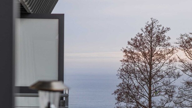 A modern building with a view of the sea and a leafless tree.
