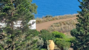 Vista costera con cielo despejado, un sendero arenoso y una maceta amarilla en primer plano.