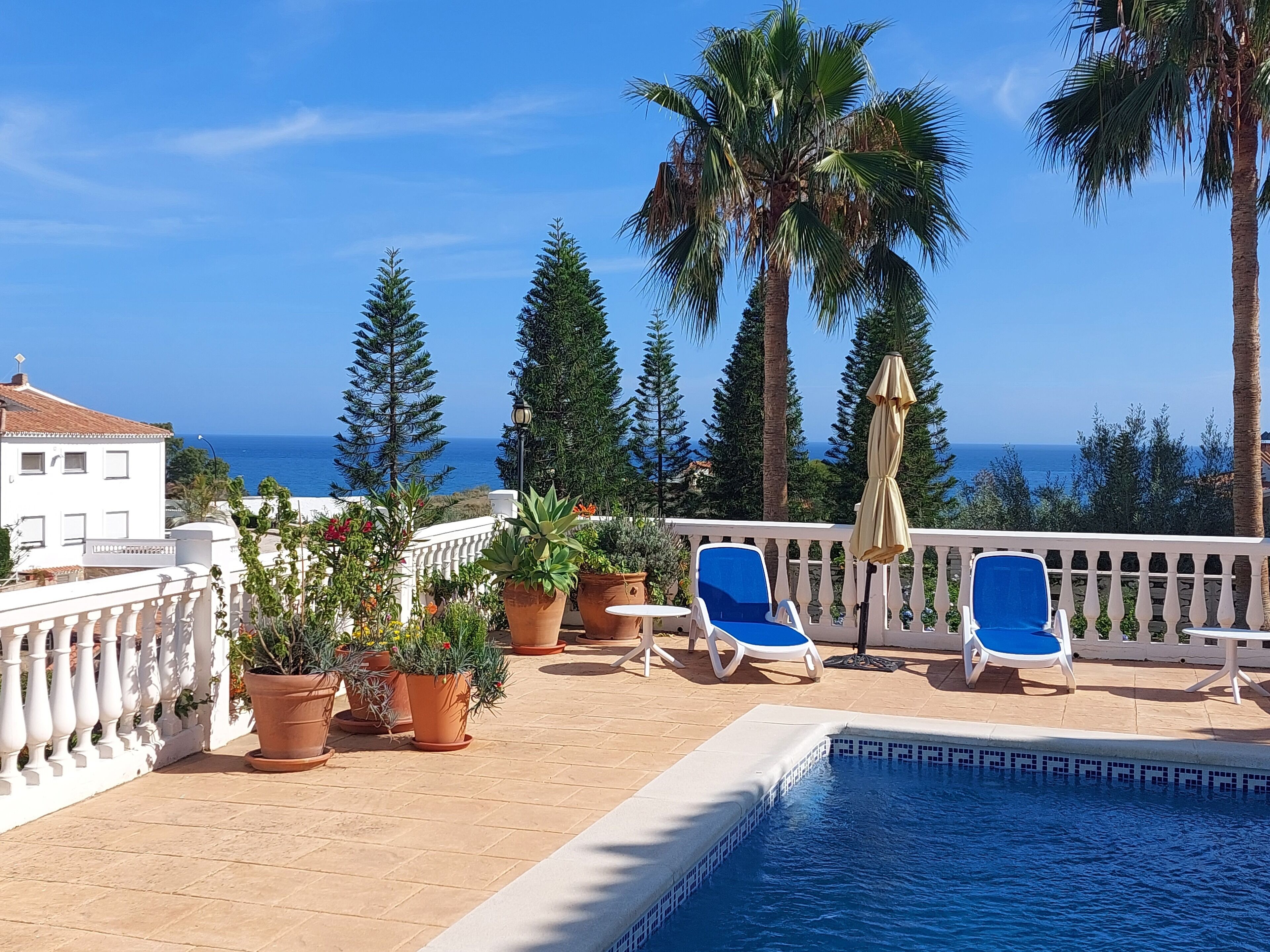 Ein Poolbereich mit Liegestühlen, Topfpflanzen und Blick auf das Meer.