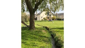 Une zone herbeuse avec un arbre, un petit ruisseau et un bâtiment en arrière-plan.