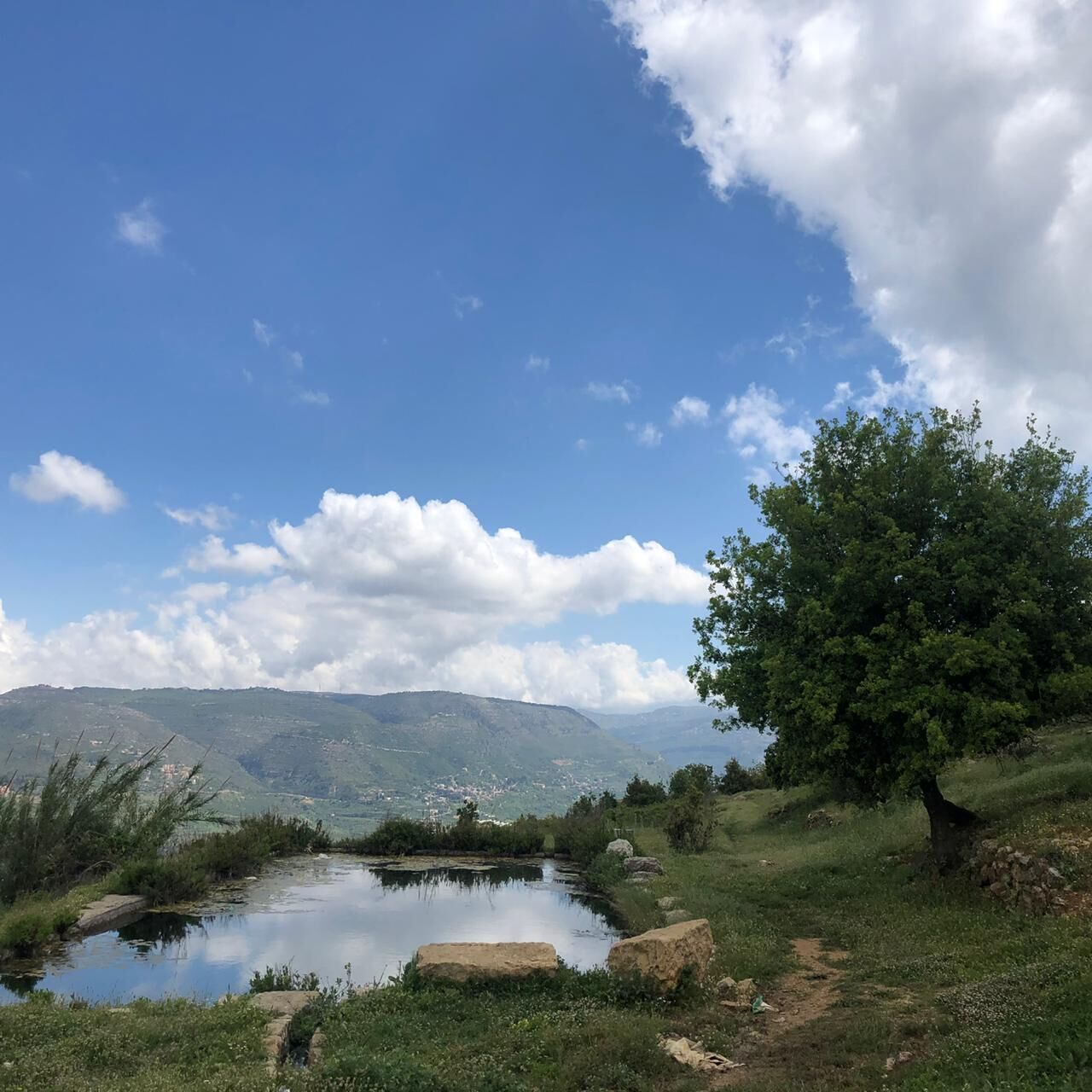 Un paisaje sereno con un estanque, cielo despejado y montañas a lo lejos.