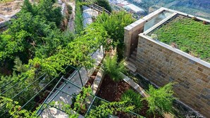 A rooftop garden with a variety of plants and a view of the surrounding landscape. - âl sindiana (Kfar Qatra)