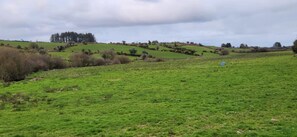 Unclassified image, 5 of 16, button - Peacock Farm Estate Self Contained Lodges (Bengour West)