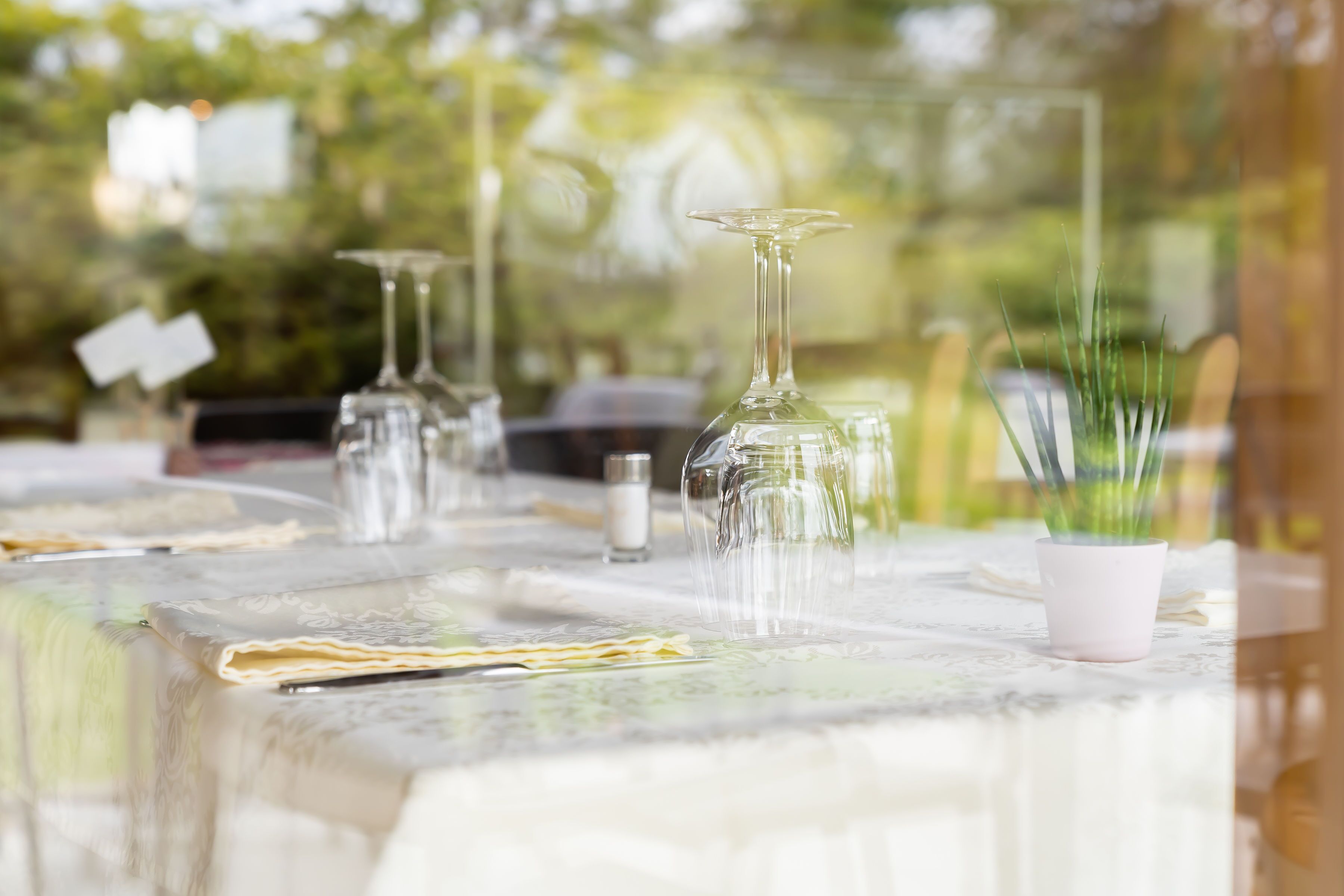 A table set with clear glassware and a small potted plant, suggesting an outdoor dining area.
