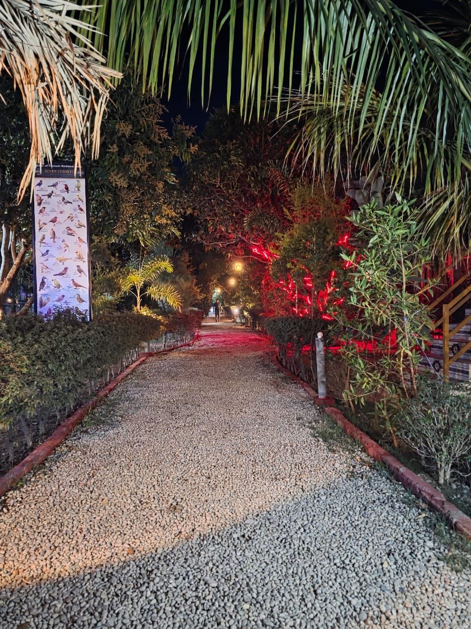 A gravel pathway leading through a garden with red lighting and a bird identification poster.