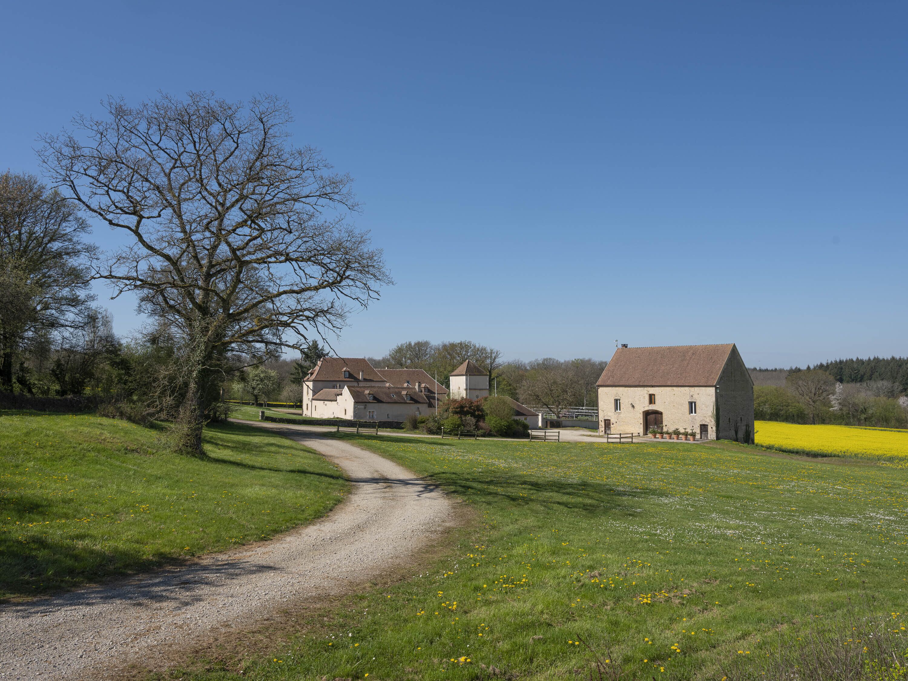 A rural landscape with a gravel path leading to a farmhouse, surrounded by fields and trees.