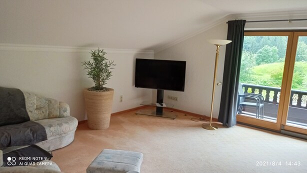 Ein Wohnzimmer mit einer Couch, einem Fernseher, einer Zimmerpflanze und einem Balkon mit Gartenmöbeln.
