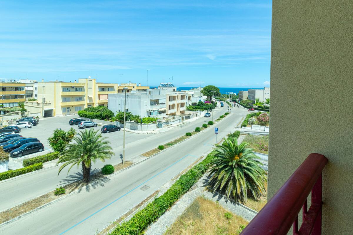 A coastal street view with parked cars, palm trees, and buildings.