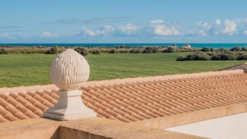 Grande suite con terrazza | Terraza o patio