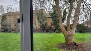 A view through a window of a grassy yard with a tree and a building in the background. - Tastefully Decorated 1 bed Flat Near Abbeywood (Belvedere)
